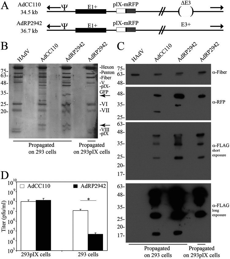 FIG 6