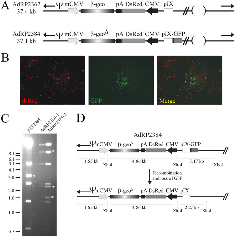 FIG 4