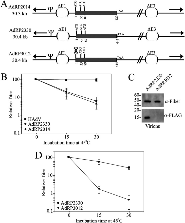 FIG 1