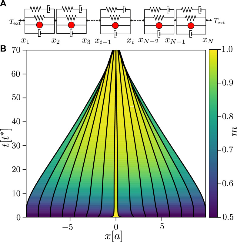 Figure 1—figure supplement 2.