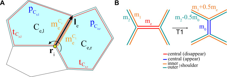 Figure 2—figure supplement 1.