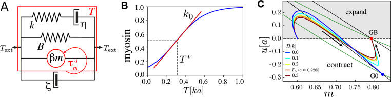 Figure 1—figure supplement 1.