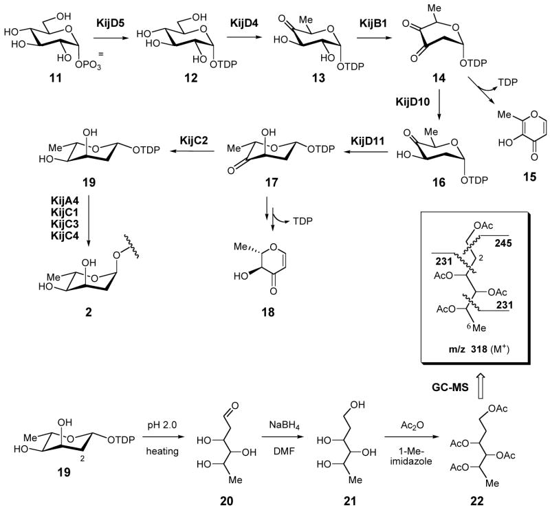 Scheme 1