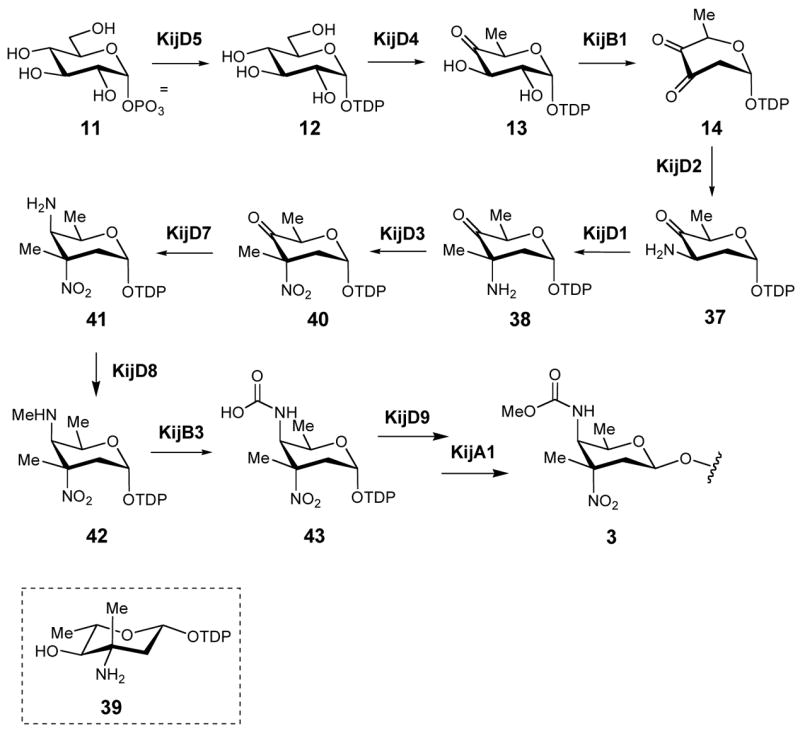 Scheme 3