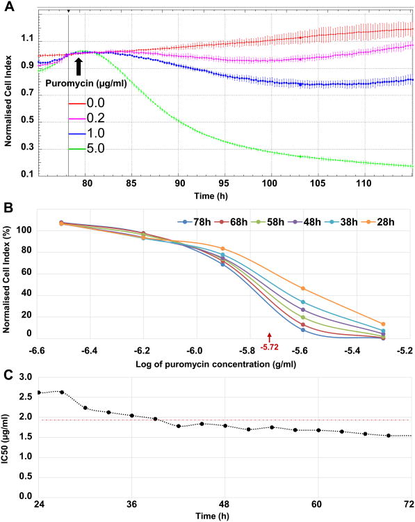 Fig. 4