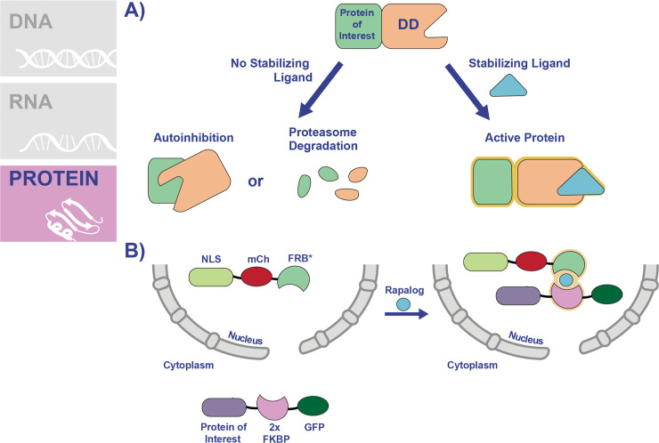 Fig 4