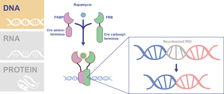 Fig 2