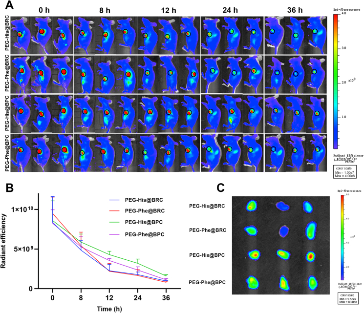 Figure 6