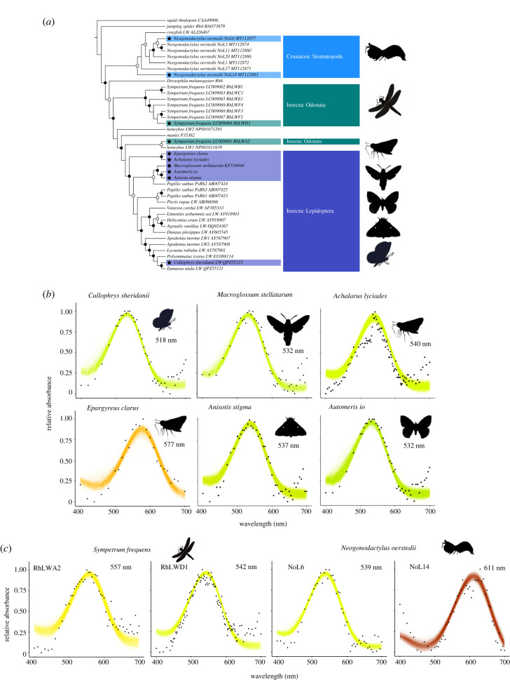 Figure 2. 