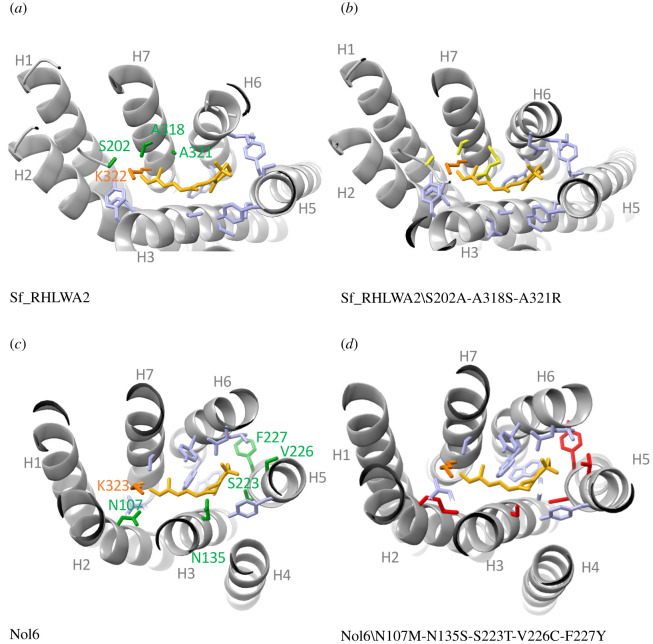 Figure 3. 