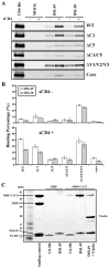 Figure. 3