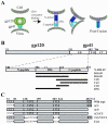 Figure. 1