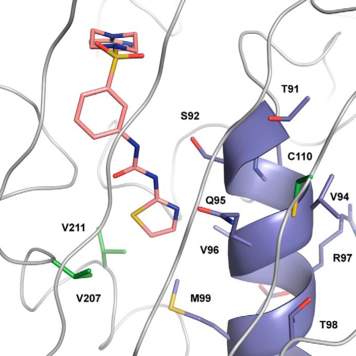 FIGURE 7.