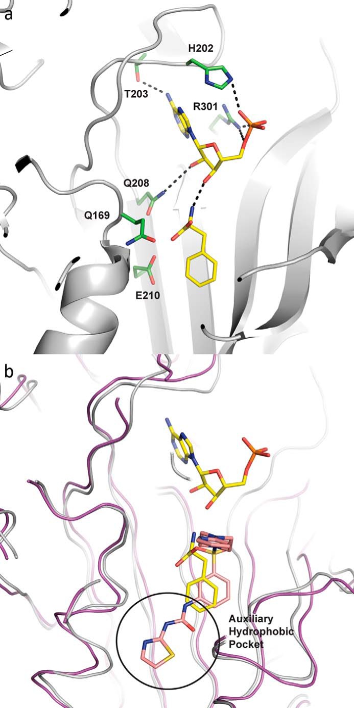 FIGURE 4.