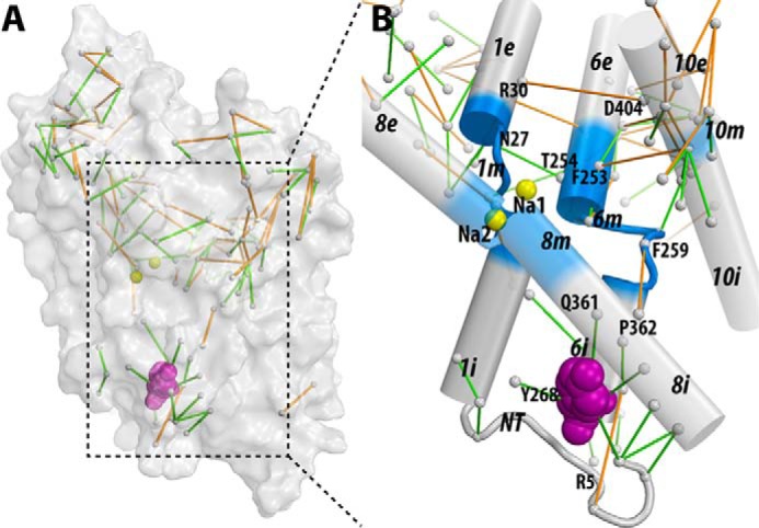 FIGURE 6.