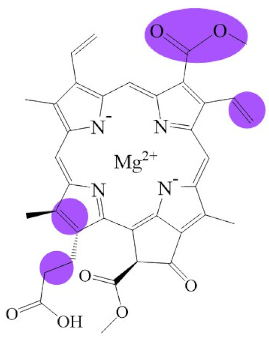 graphic file with name biomolecules-11-01115-i008.jpg