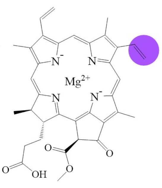 graphic file with name biomolecules-11-01115-i002.jpg