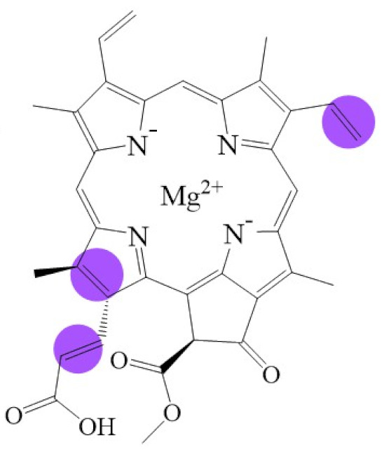 graphic file with name biomolecules-11-01115-i005.jpg