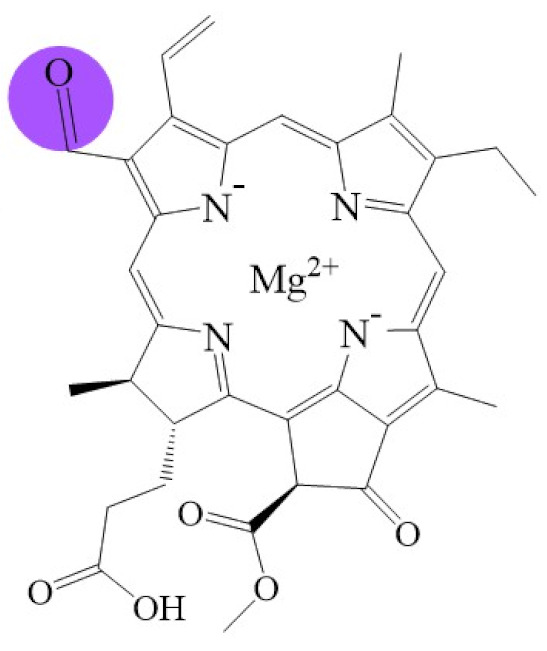 graphic file with name biomolecules-11-01115-i010.jpg