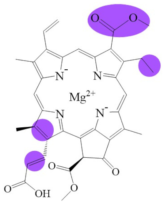 graphic file with name biomolecules-11-01115-i007.jpg