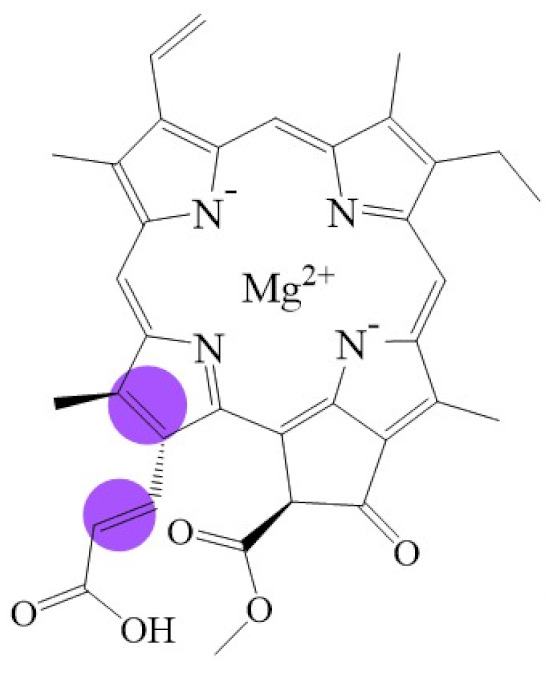 graphic file with name biomolecules-11-01115-i004.jpg