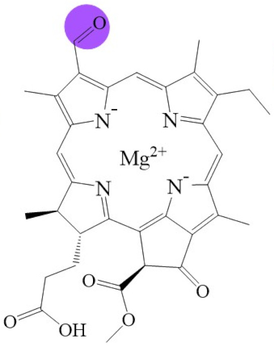 graphic file with name biomolecules-11-01115-i009.jpg