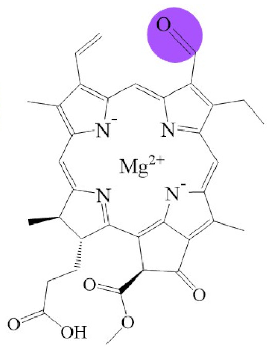 graphic file with name biomolecules-11-01115-i003.jpg