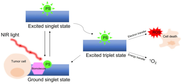 Figure 12