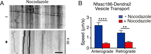 Figure 3—figure supplement 1.