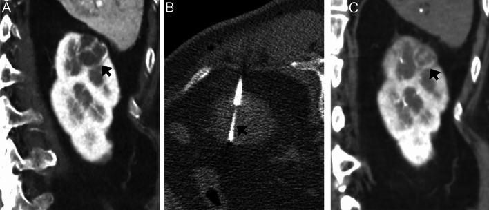 Fig. 5