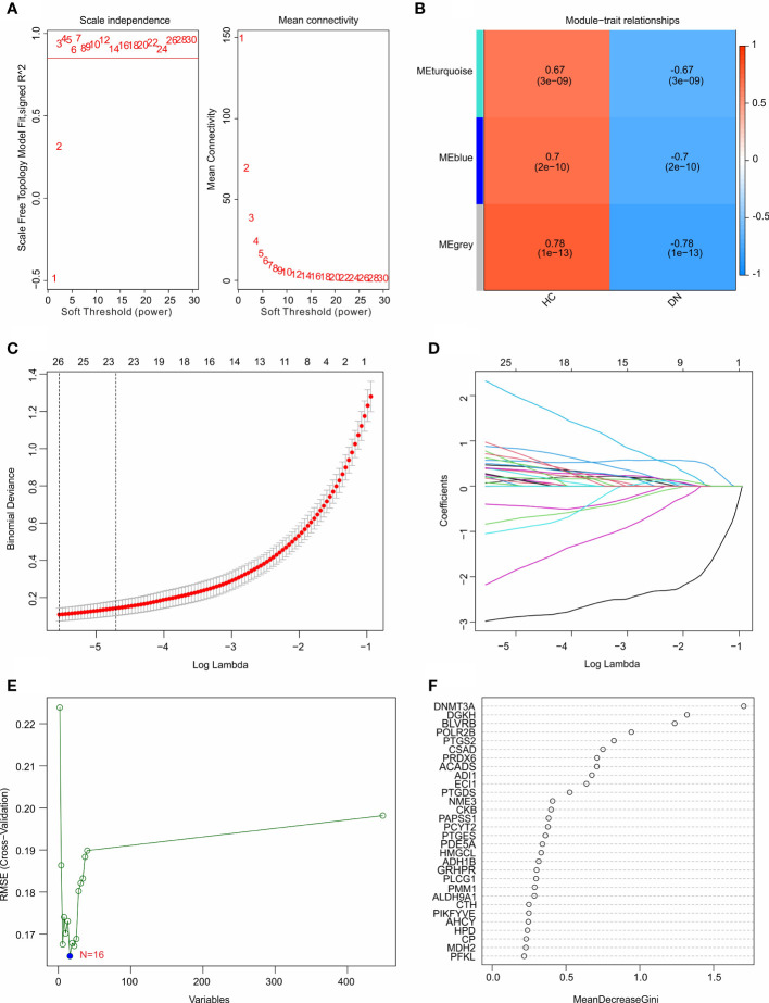 Figure 4