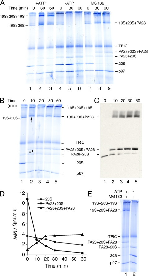 Figure 4.