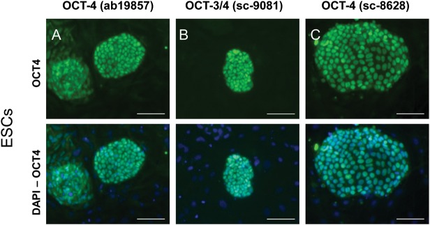 Figure 1