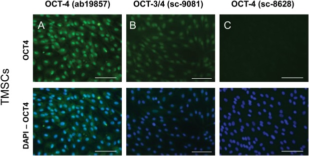 Figure 2