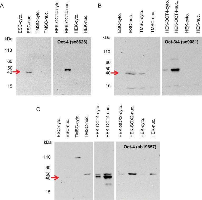 Figure 4