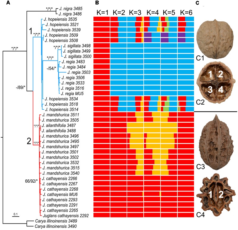 FIGURE 2