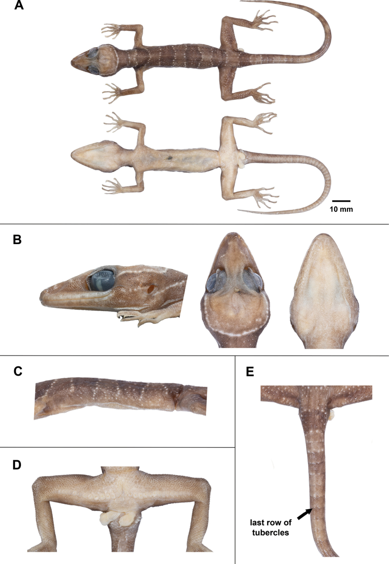 Figure 10.