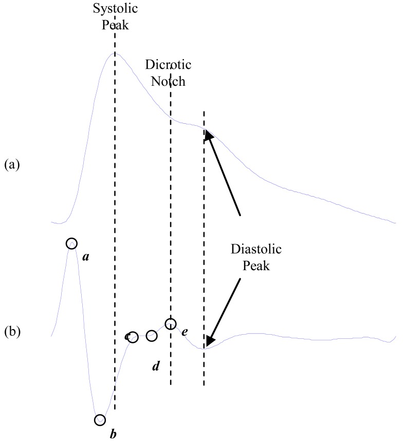 Fig. (1)