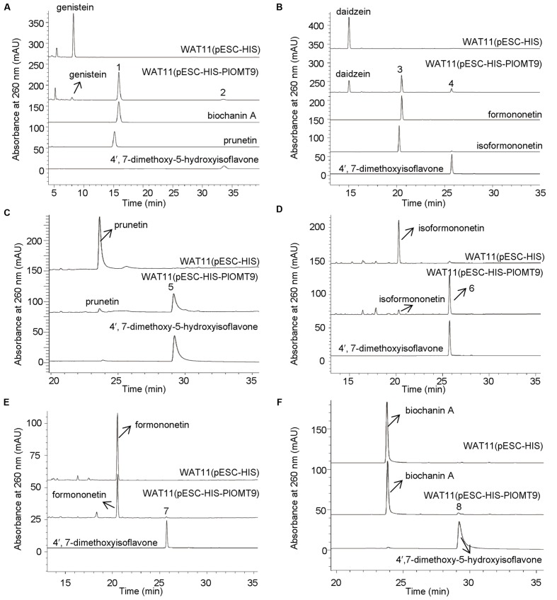 FIGURE 3