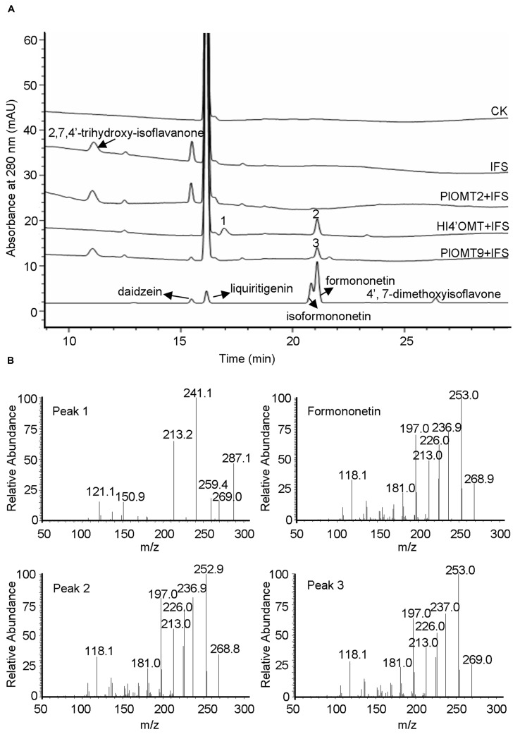 FIGURE 4