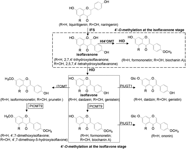 FIGURE 1