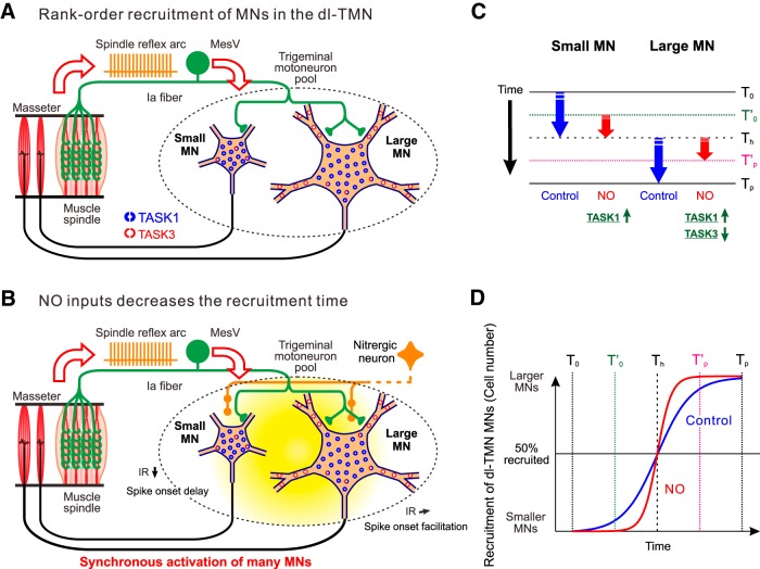 Figure 10.