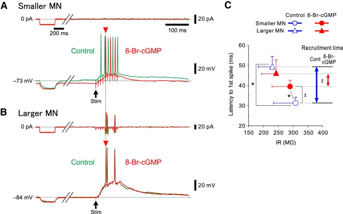 Figure 7.