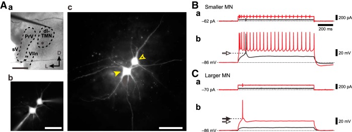 Figure 4.