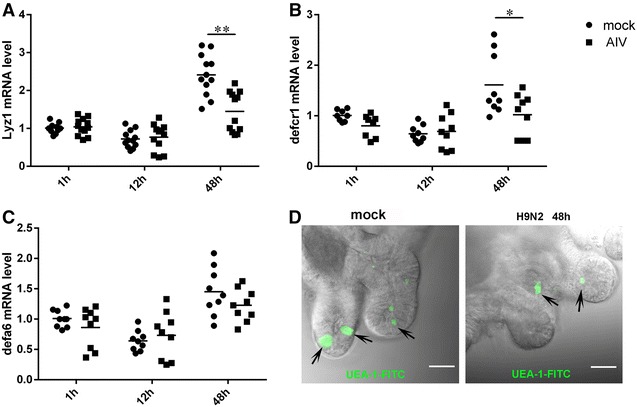 Figure 4