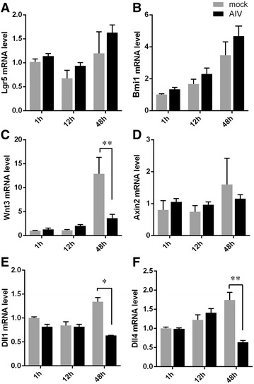 Figure 5