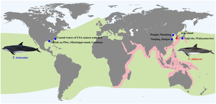 Fig. 1