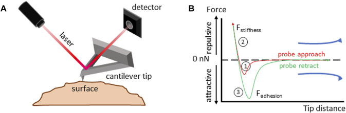 FIGURE 3