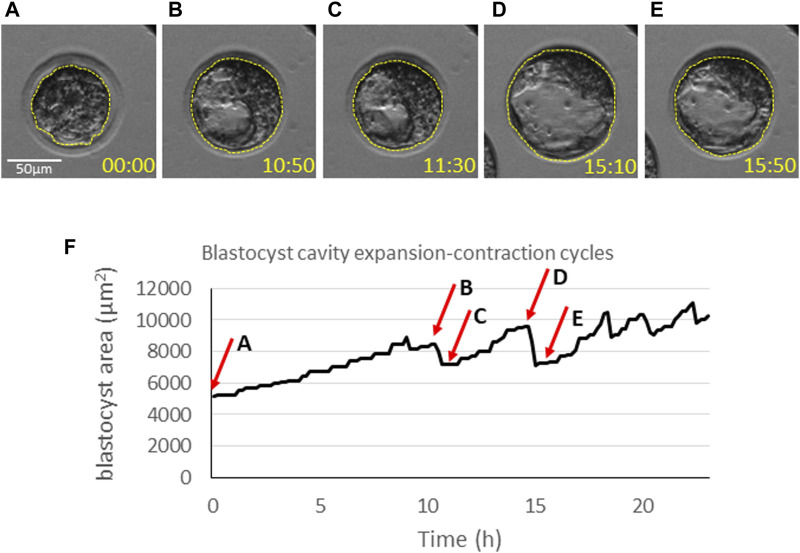 FIGURE 4