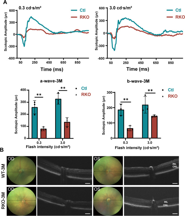 Fig. 2